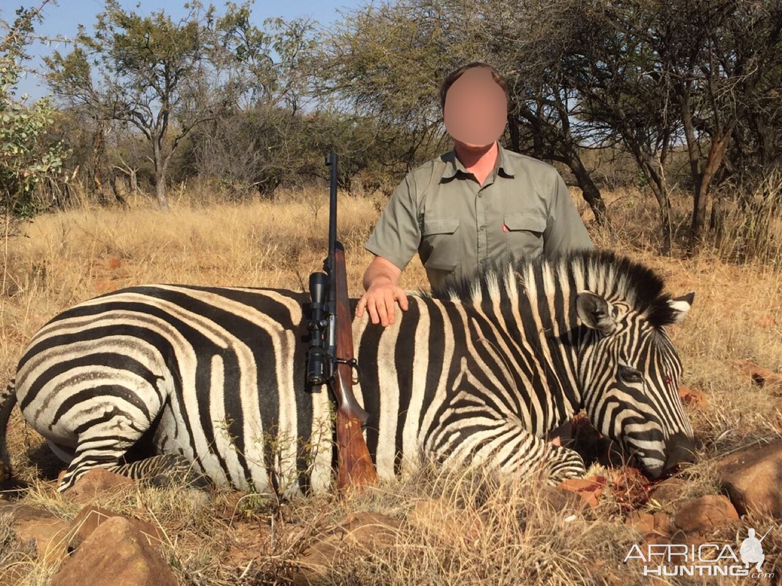 South Africa Burchell's Plain Zebra Hunt