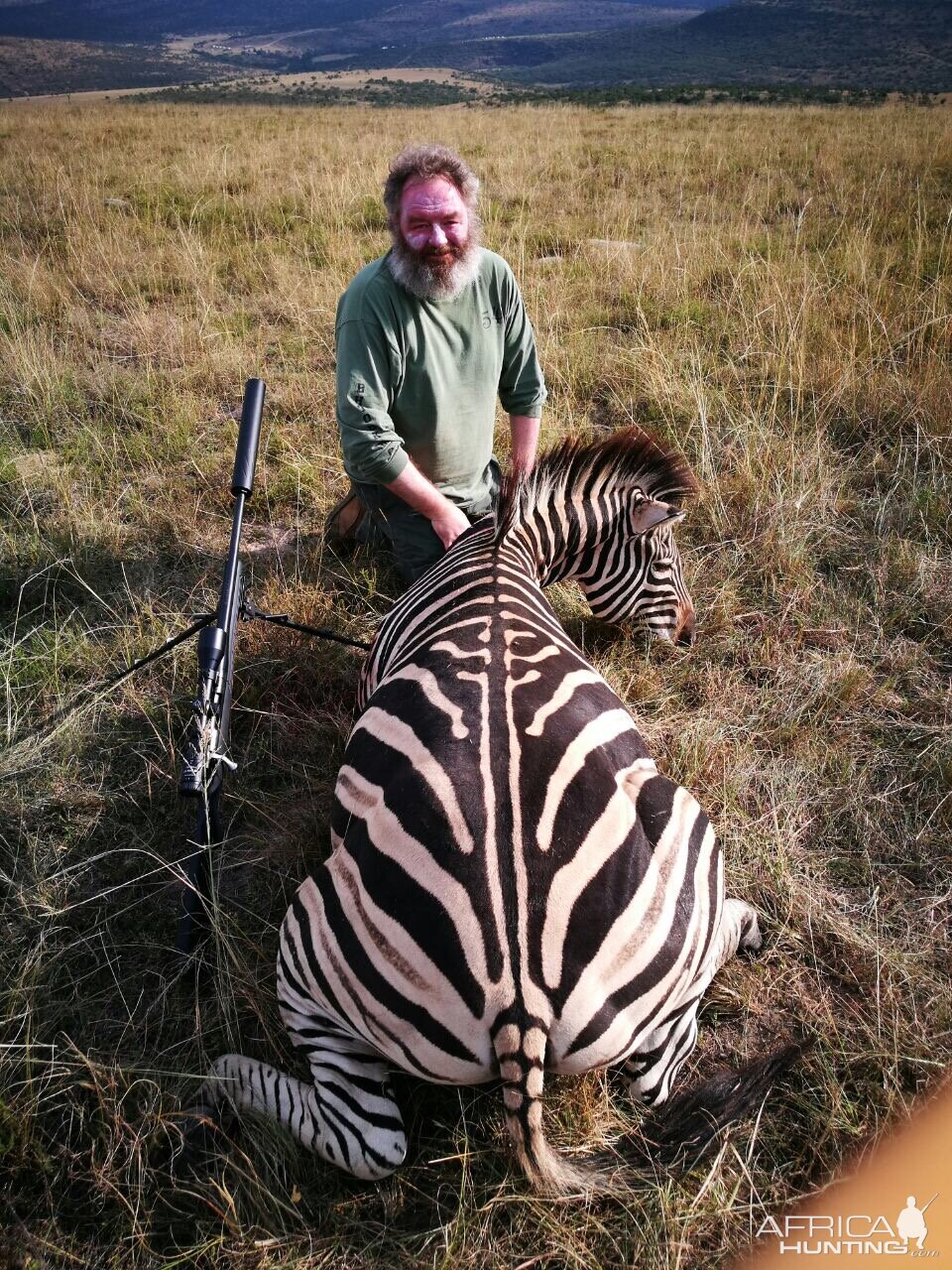 South Africa Burchell's Plain Zebra Hunting