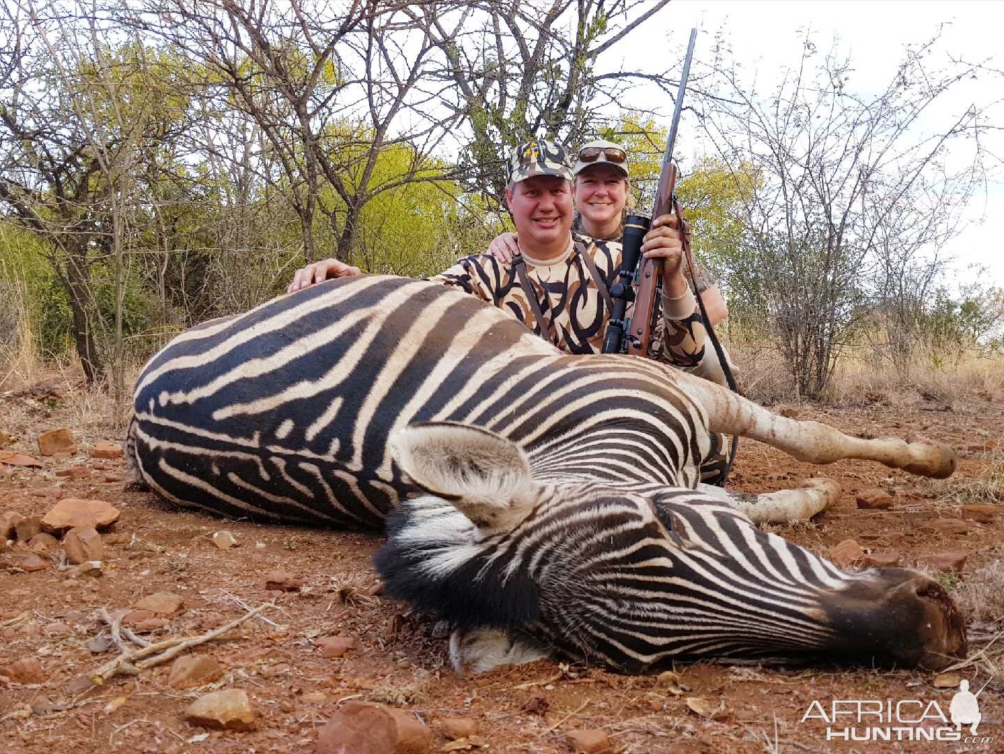 South Africa Burchell's Plain Zebra Hunting