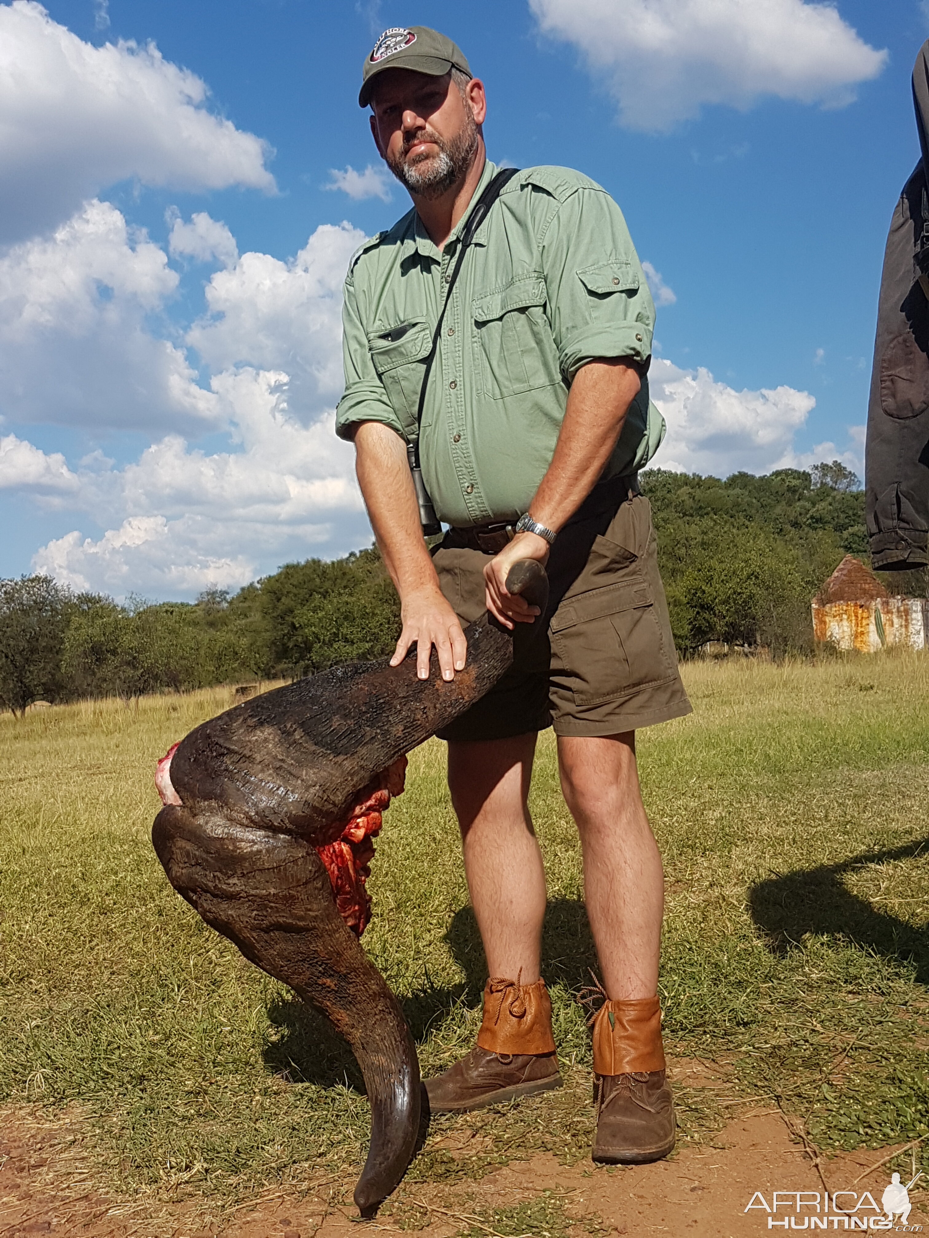 South Africa Cape Buffalo Hunt