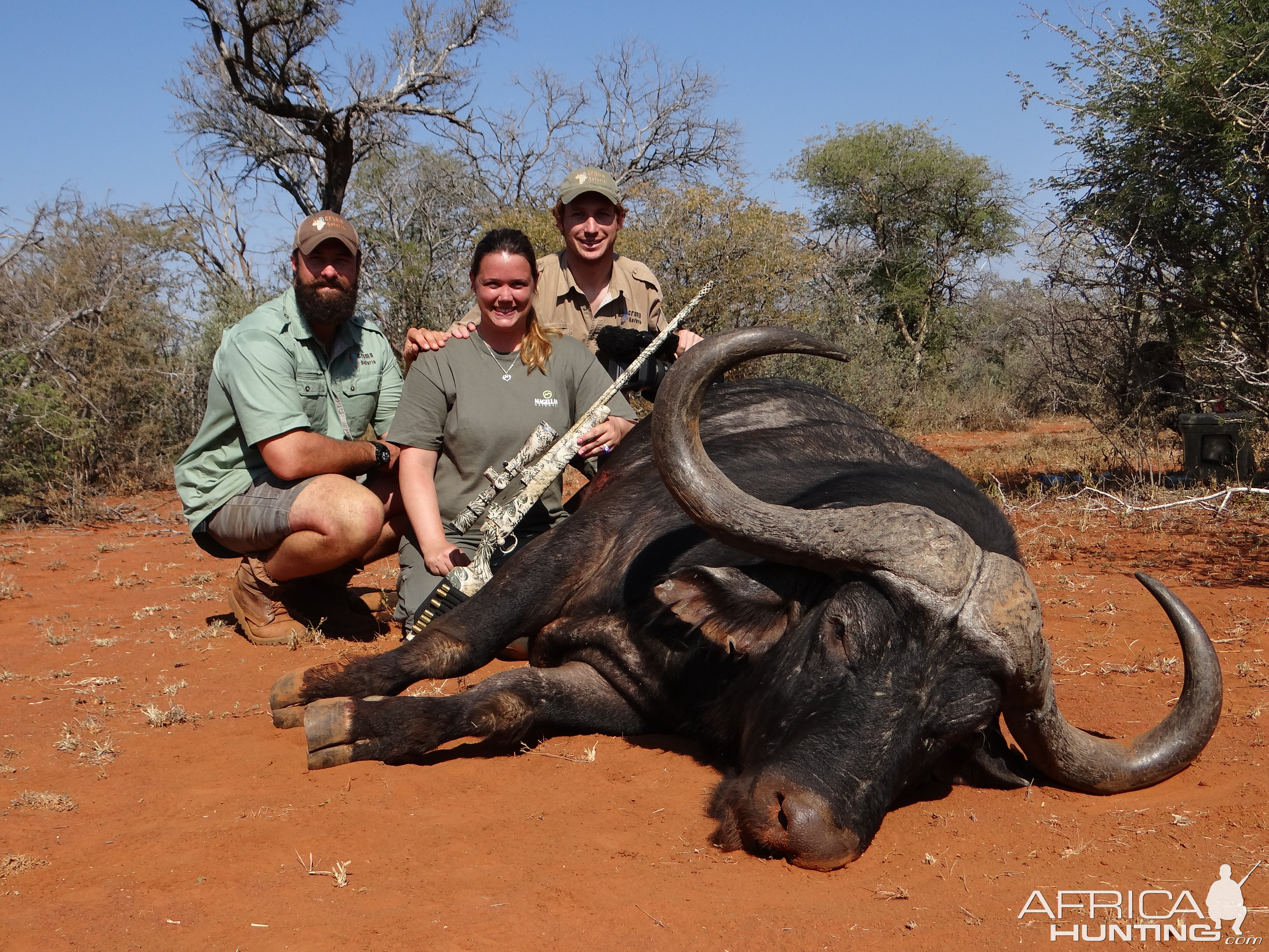 South Africa Cape Buffalo Hunt