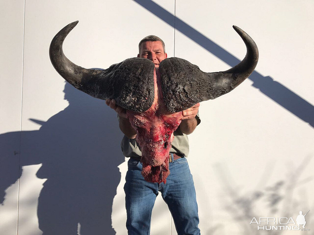 South Africa Cape Buffalo Hunting