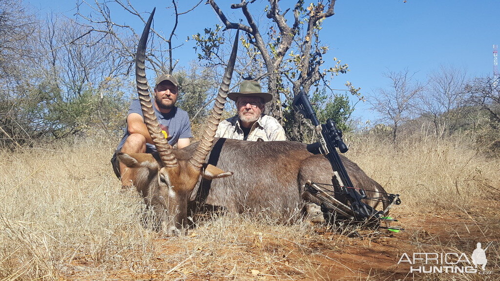 South Africa Crossbow Hunt Waterbuck