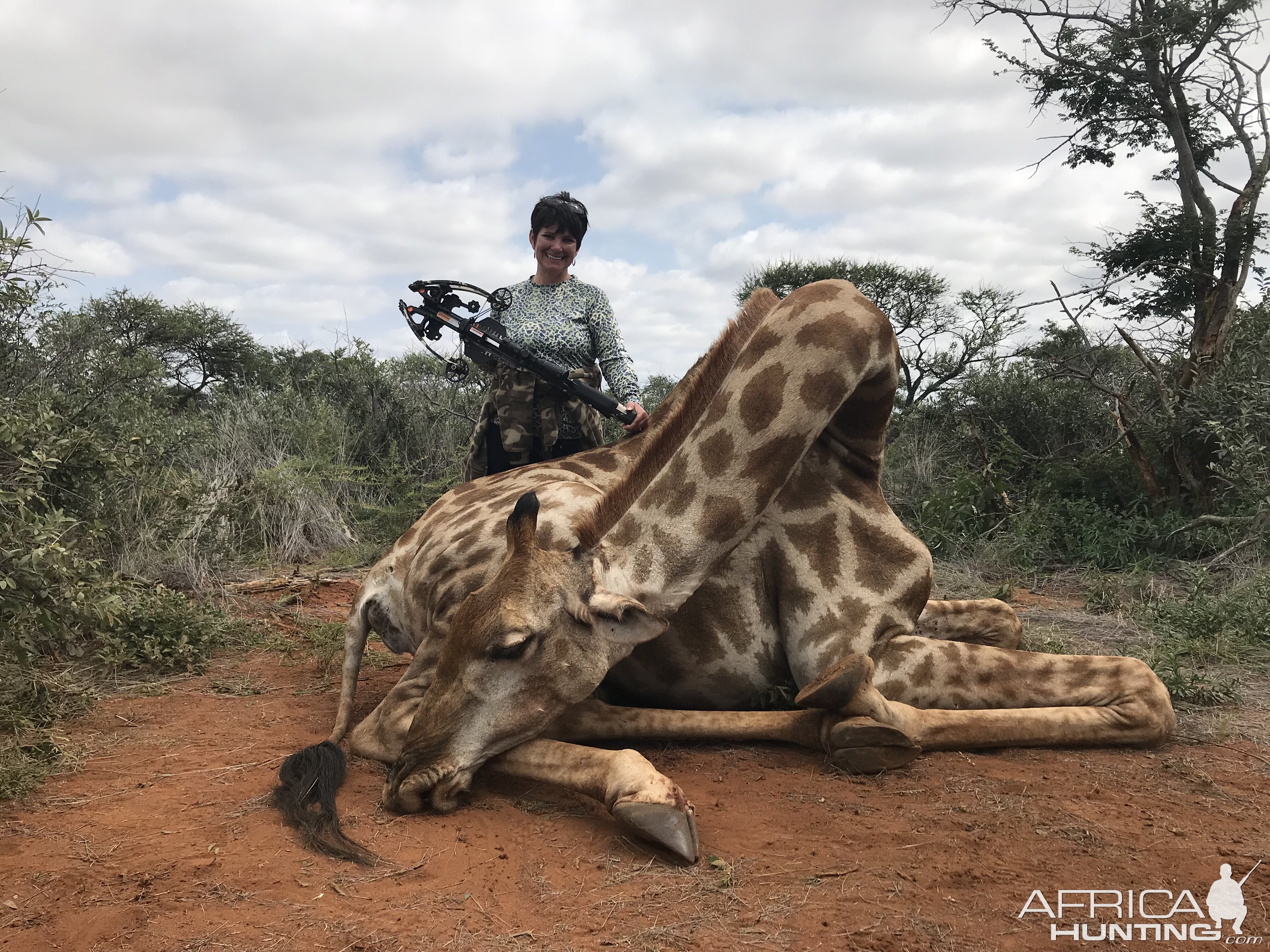 South Africa Crossbow Hunting Giraffe