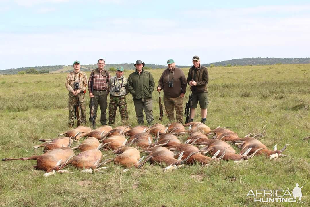 South Africa Cull Hunting Blesbok