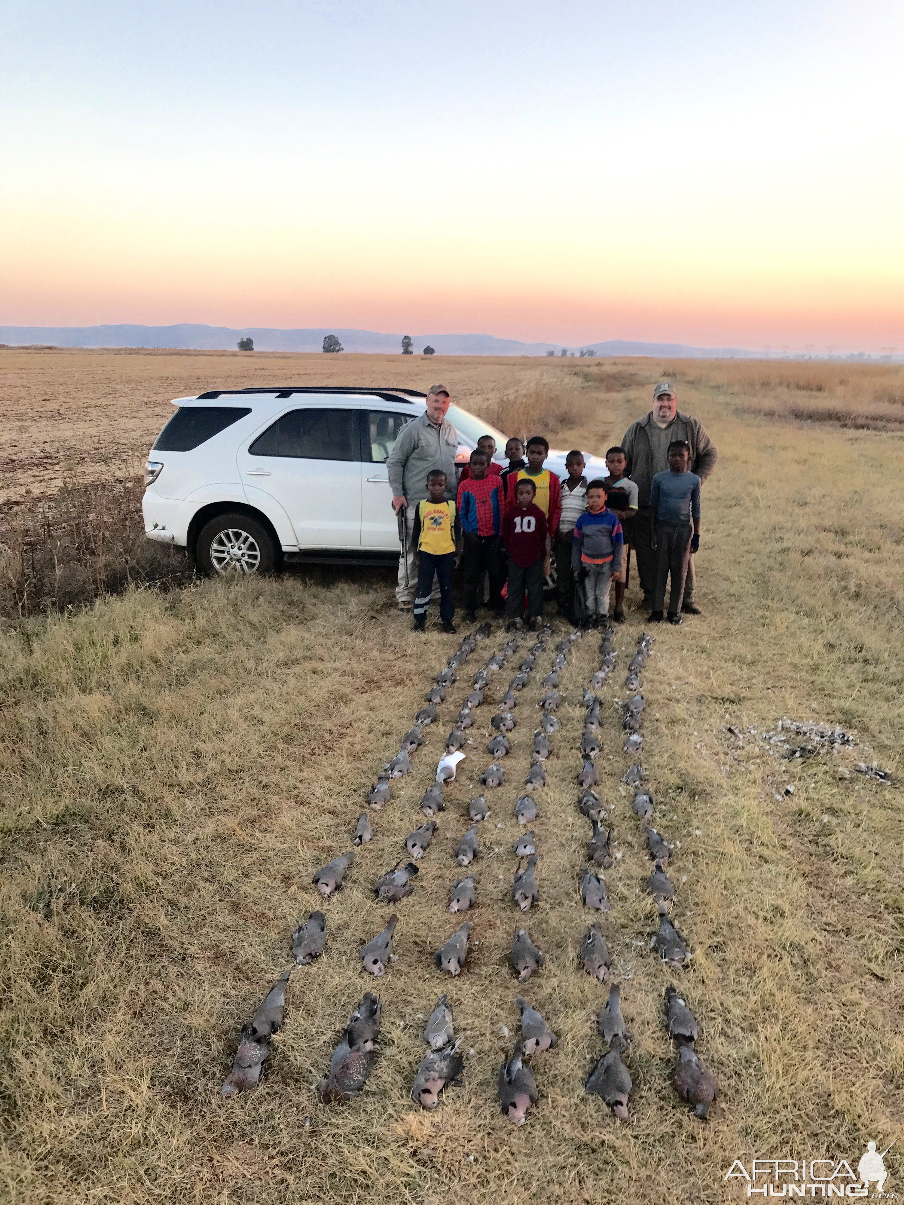 South Africa Dove Hunt