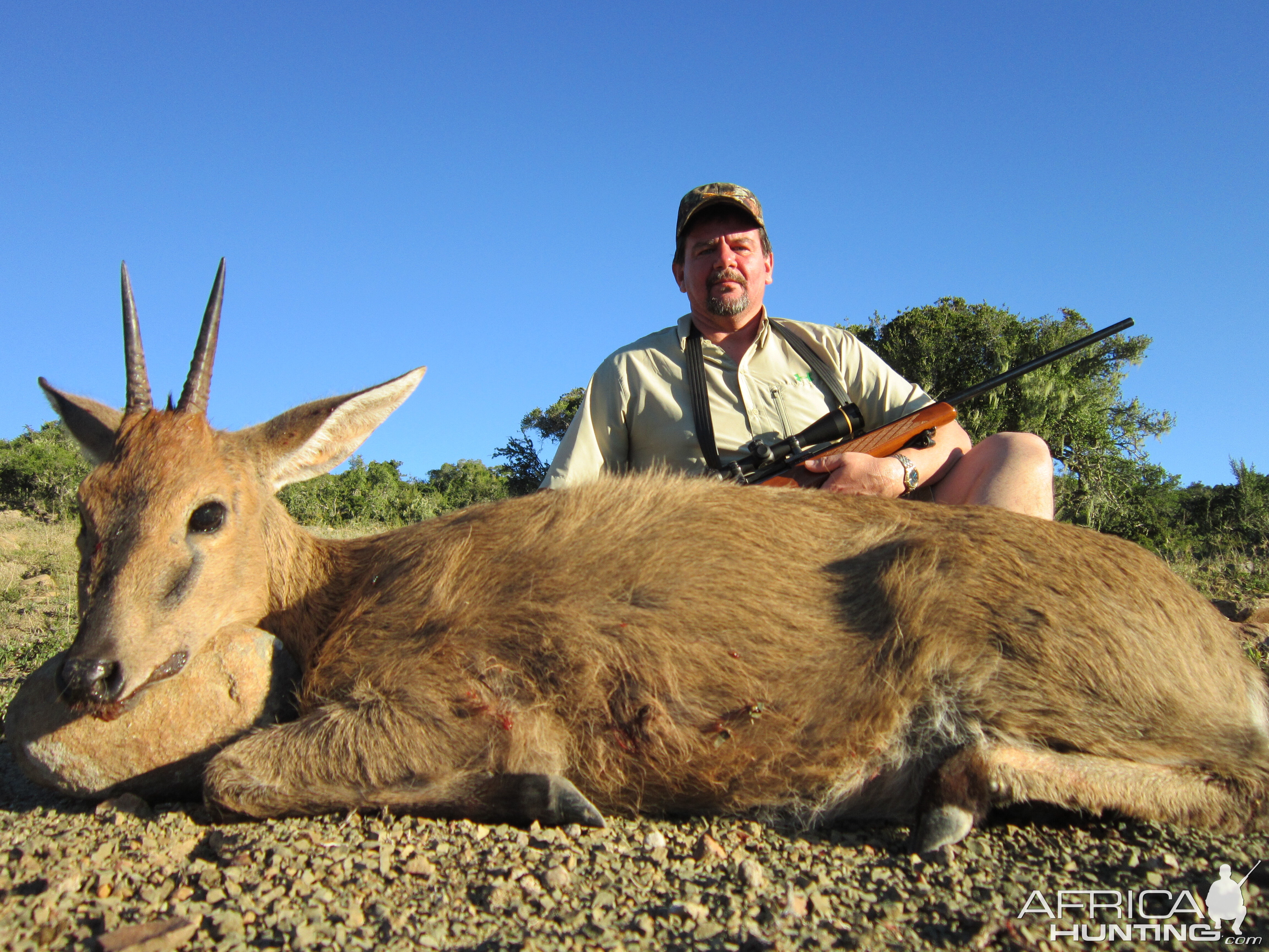 South Africa Duiker Hunt