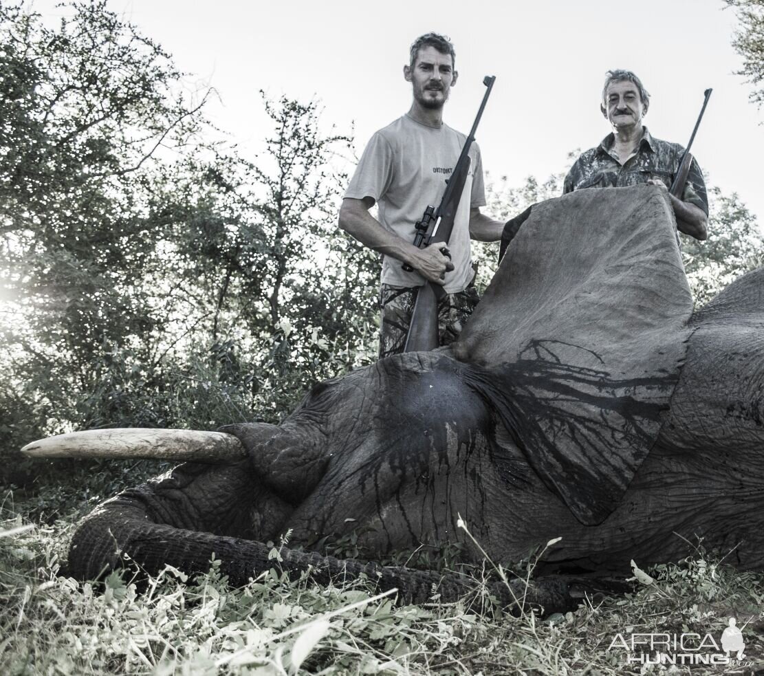 South Africa Elephant Hunt