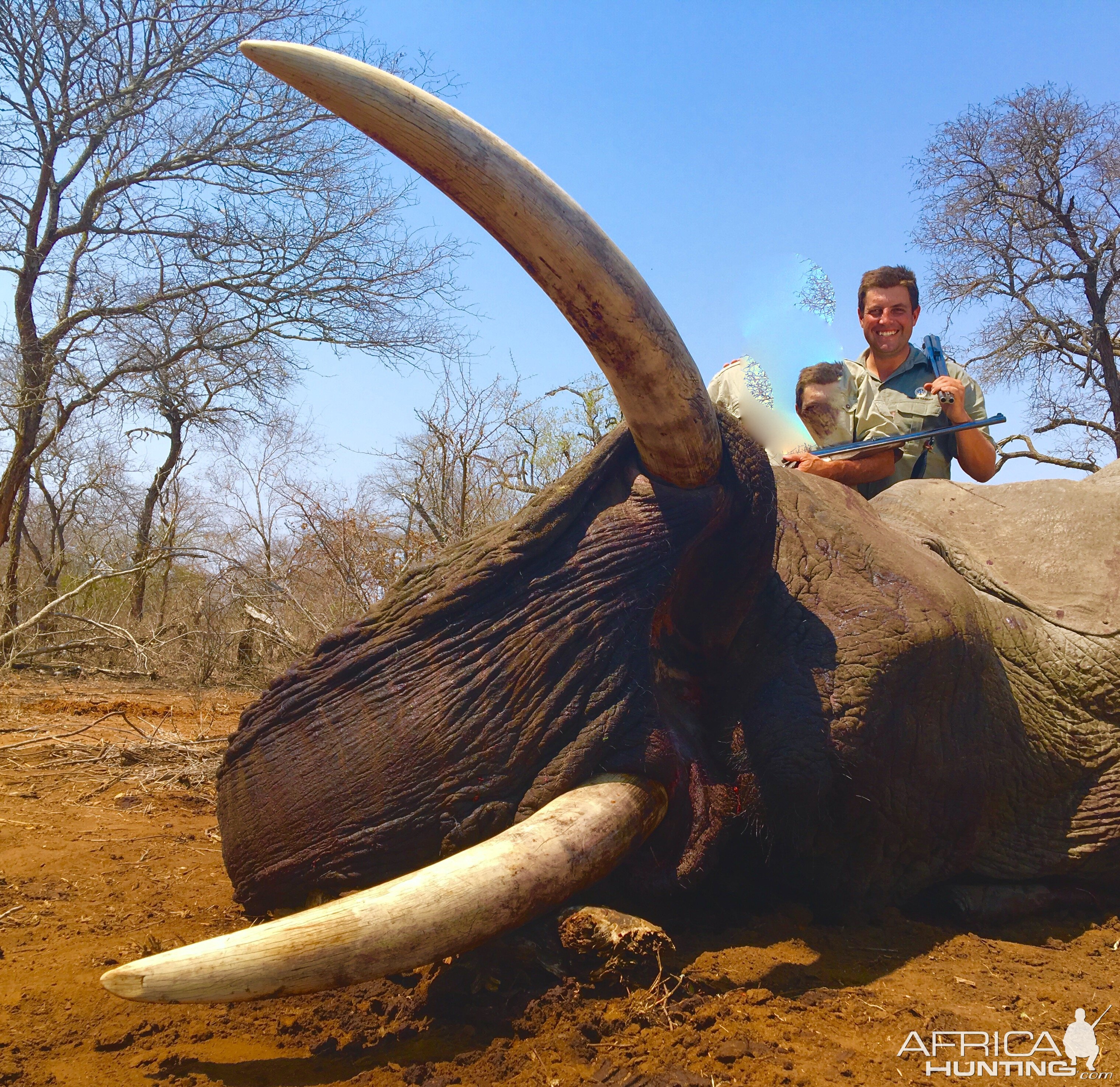 South Africa Elephant Hunting