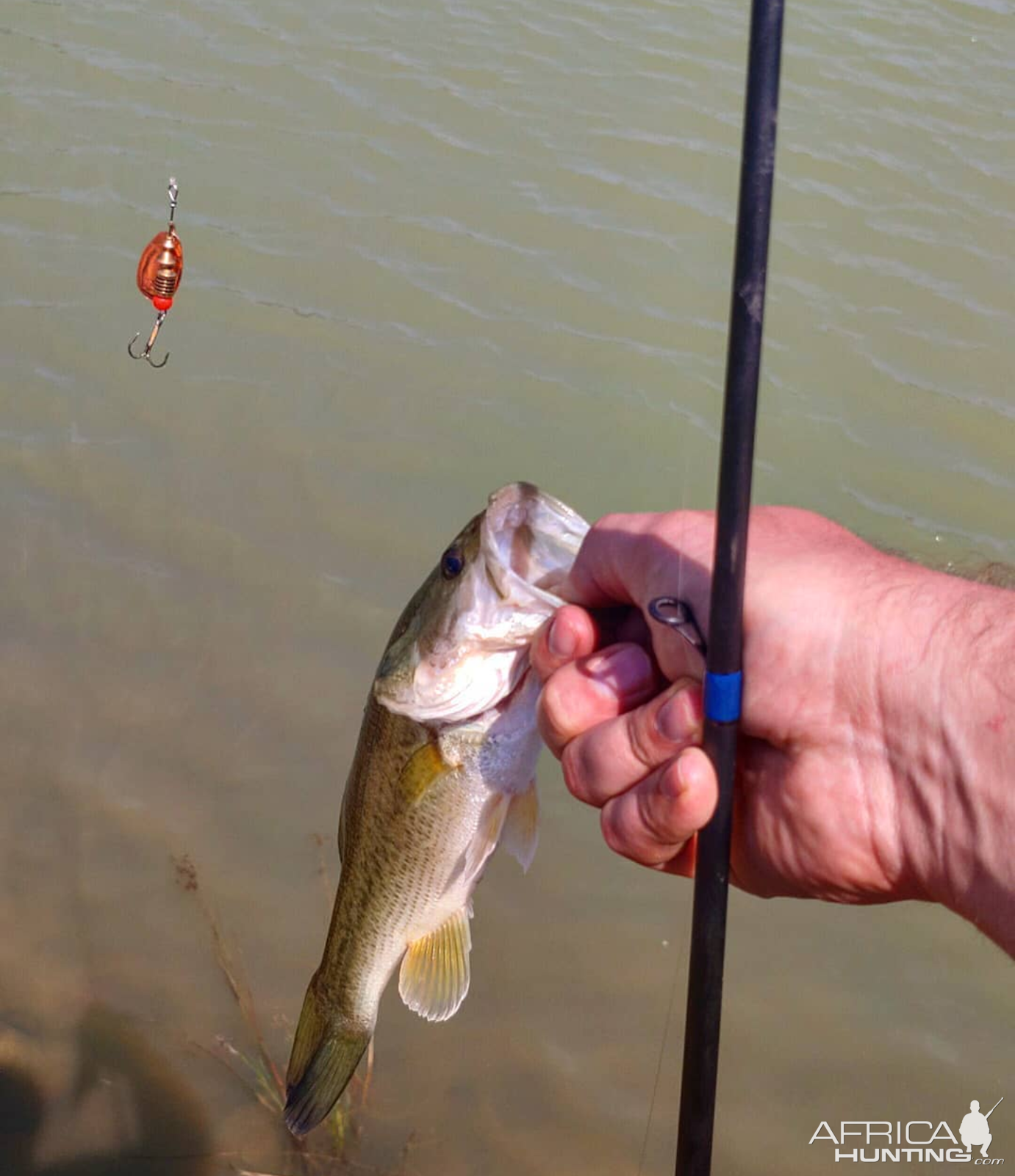 South Africa Fishing Bass