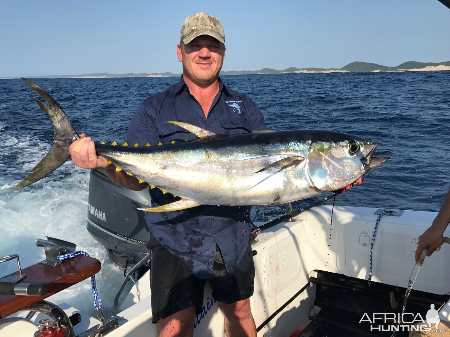 South Africa Fishing Yellowfin Tuna