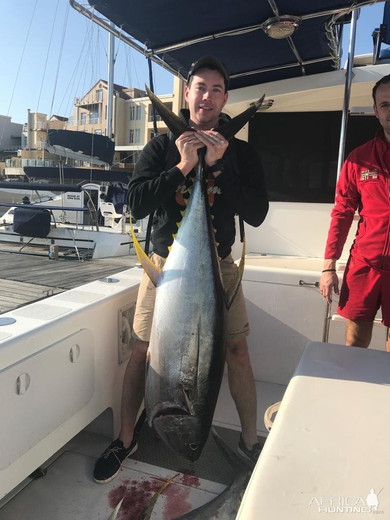 South Africa Fishing Yellowfin Tuna