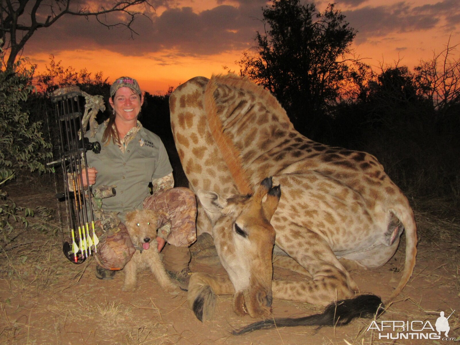 South Africa Giraffe Bow Hunt