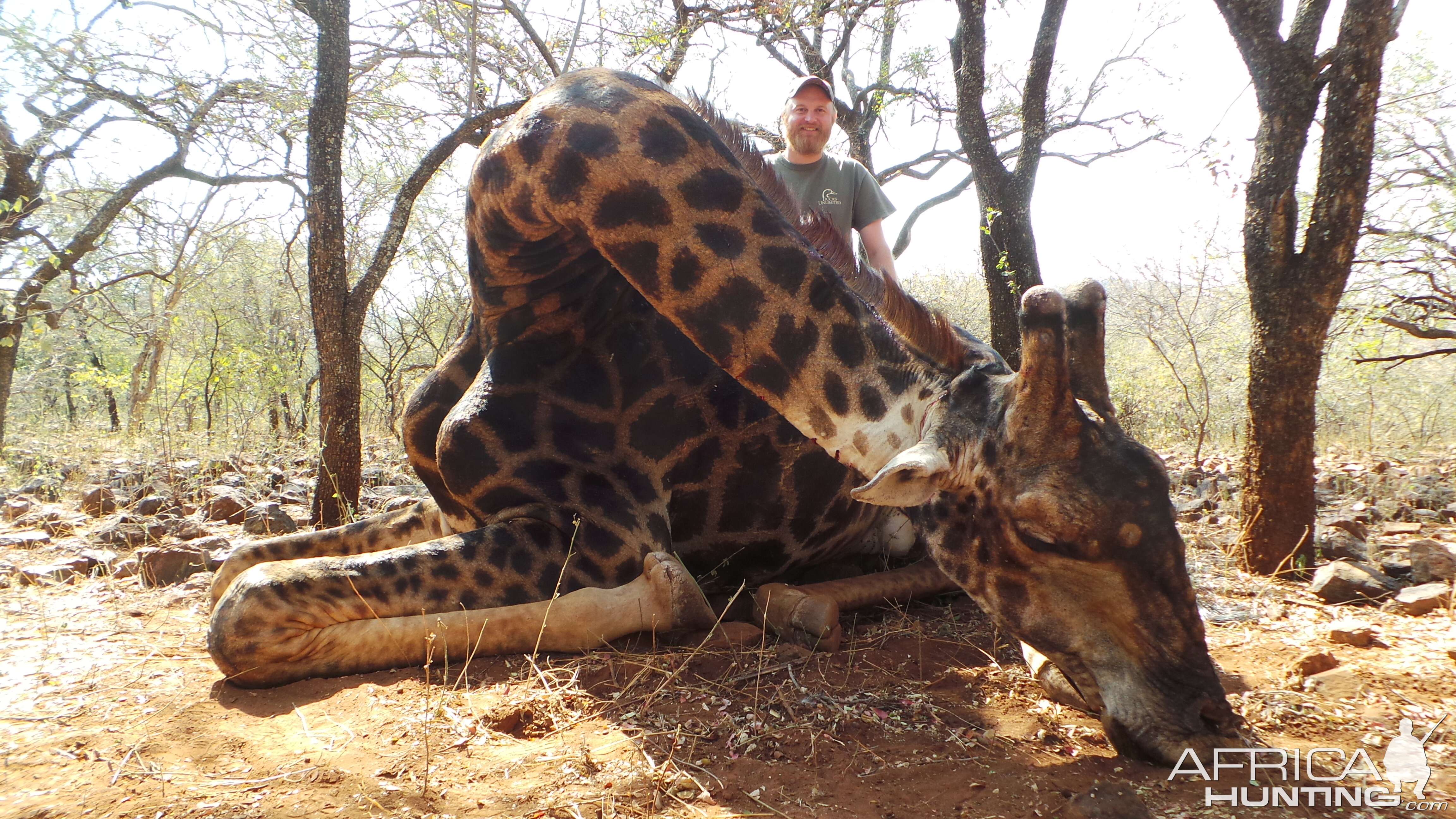 South Africa Giraffe Hunting