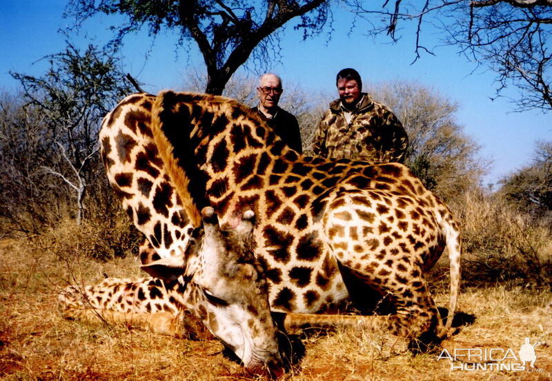 South Africa Giraffe Hunting