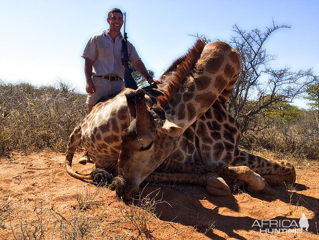 South Africa Giraffe Hunting