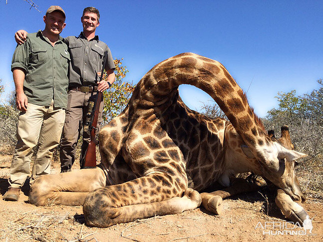 South Africa Giraffe Hunting