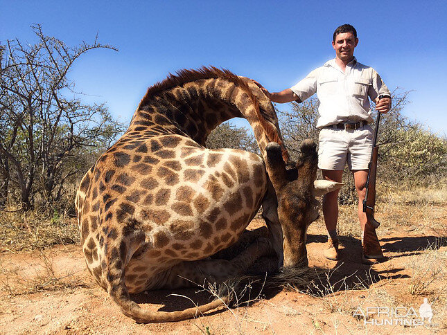 South Africa Giraffe Hunting