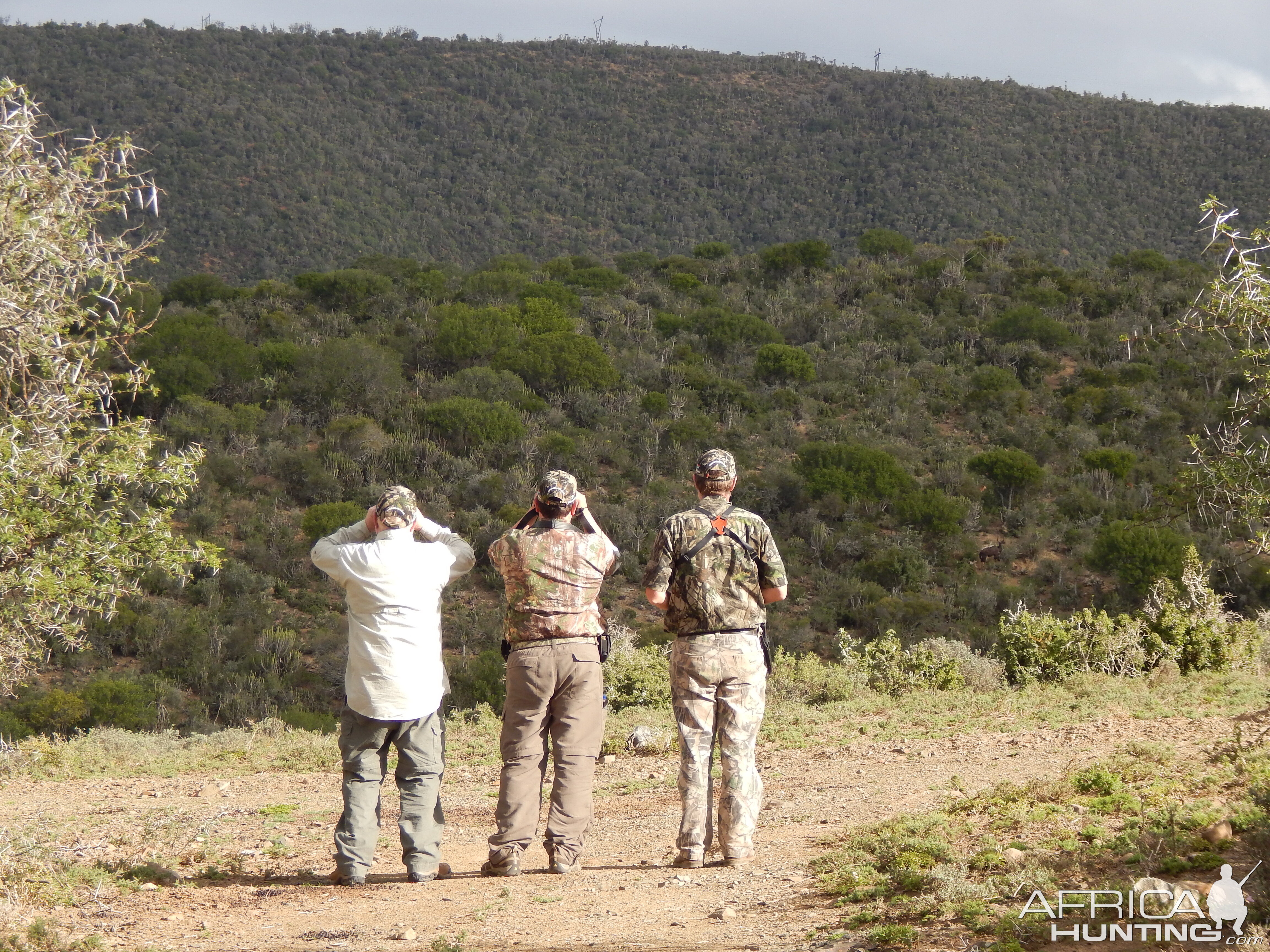 South Africa Glassing Game