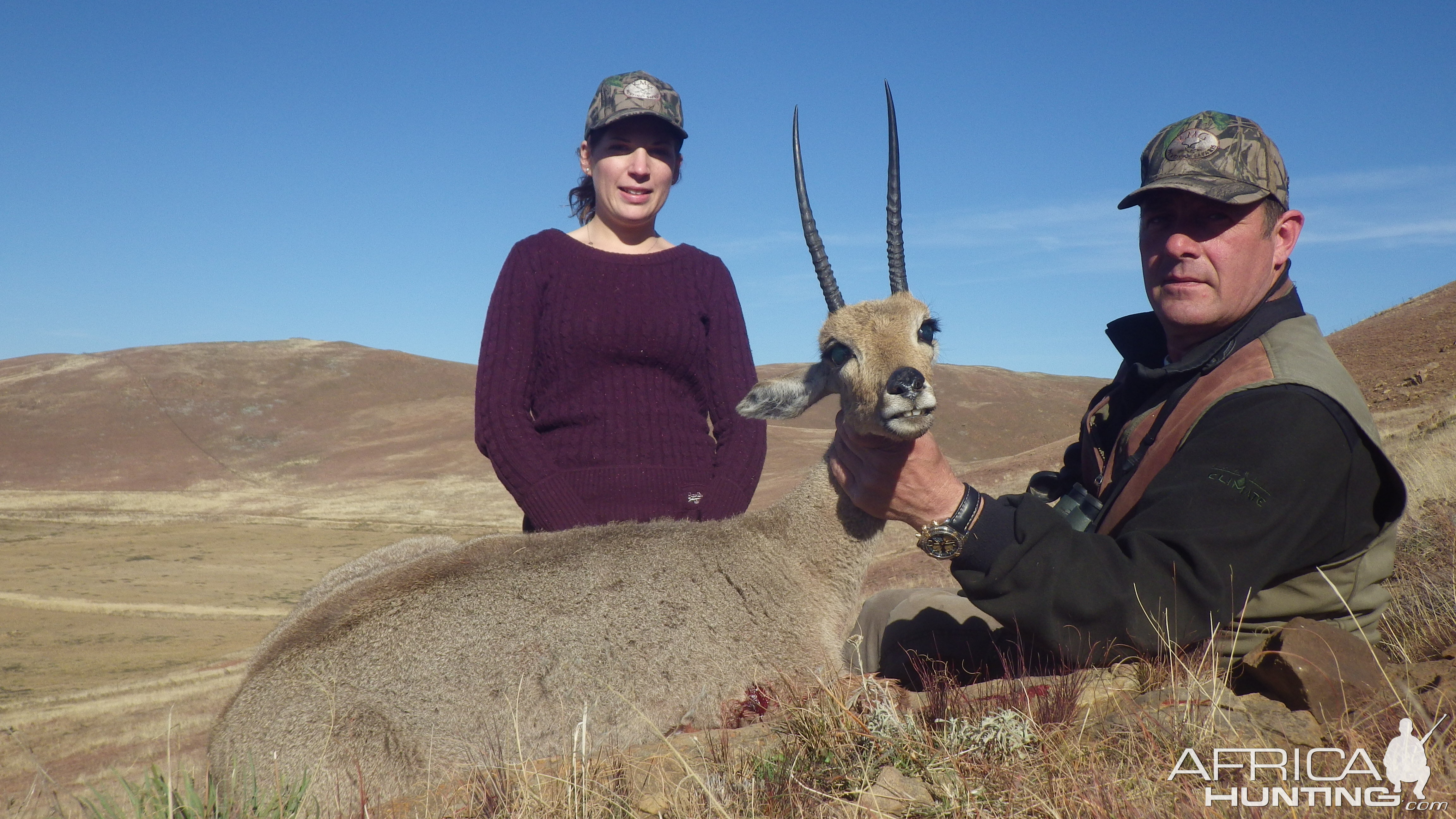 South Africa Grey Rhebok Hunt