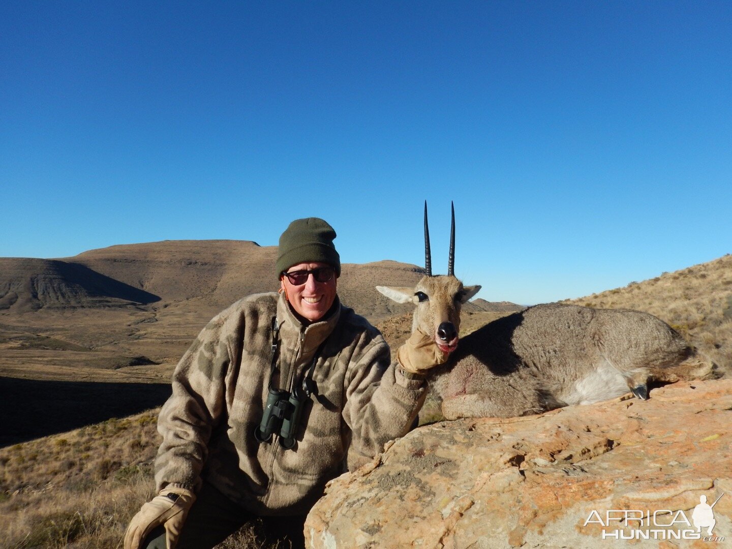 South Africa Grey Rhebok Hunt