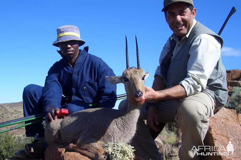 South Africa Grey Rhebok Hunt