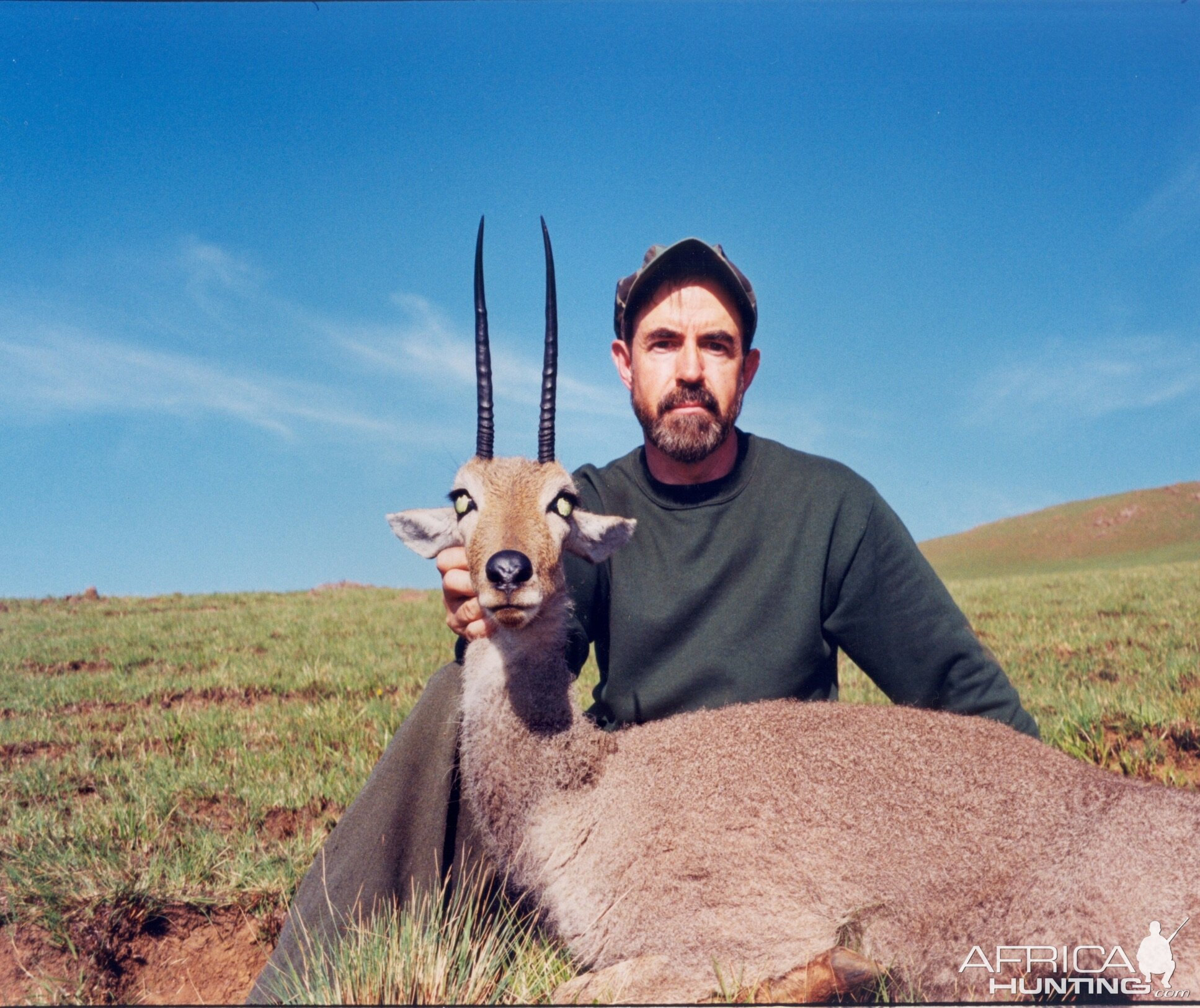 South Africa Grey Rhebok Hunting