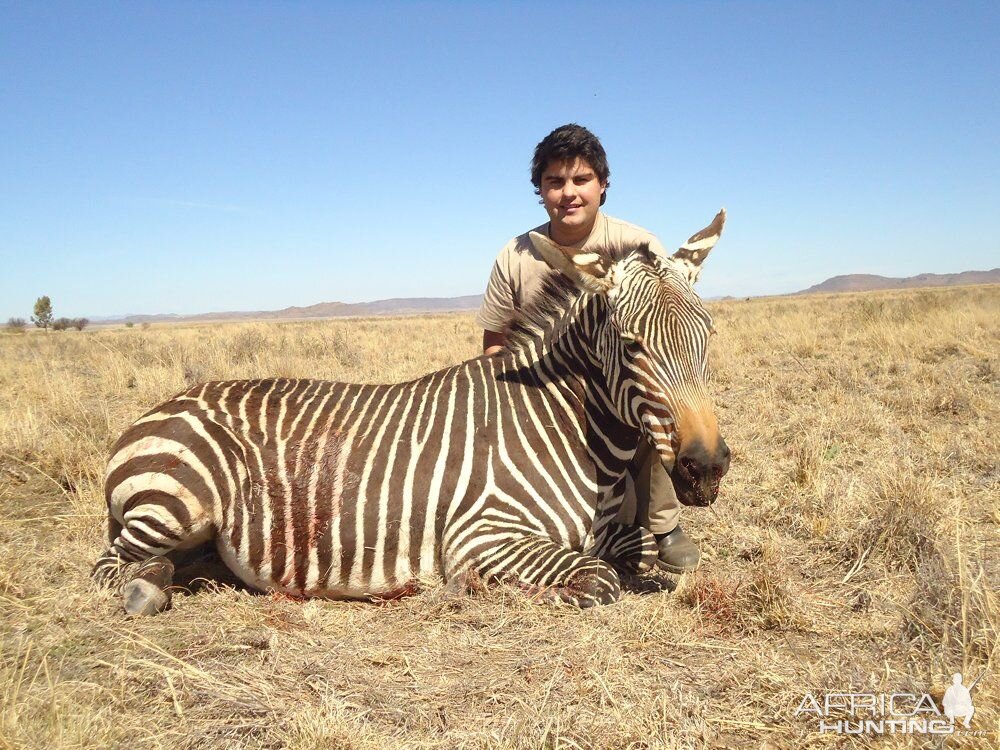 South AFrica Hartmann's Zebra Hunting