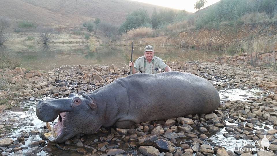 South Africa Hippo Hunt