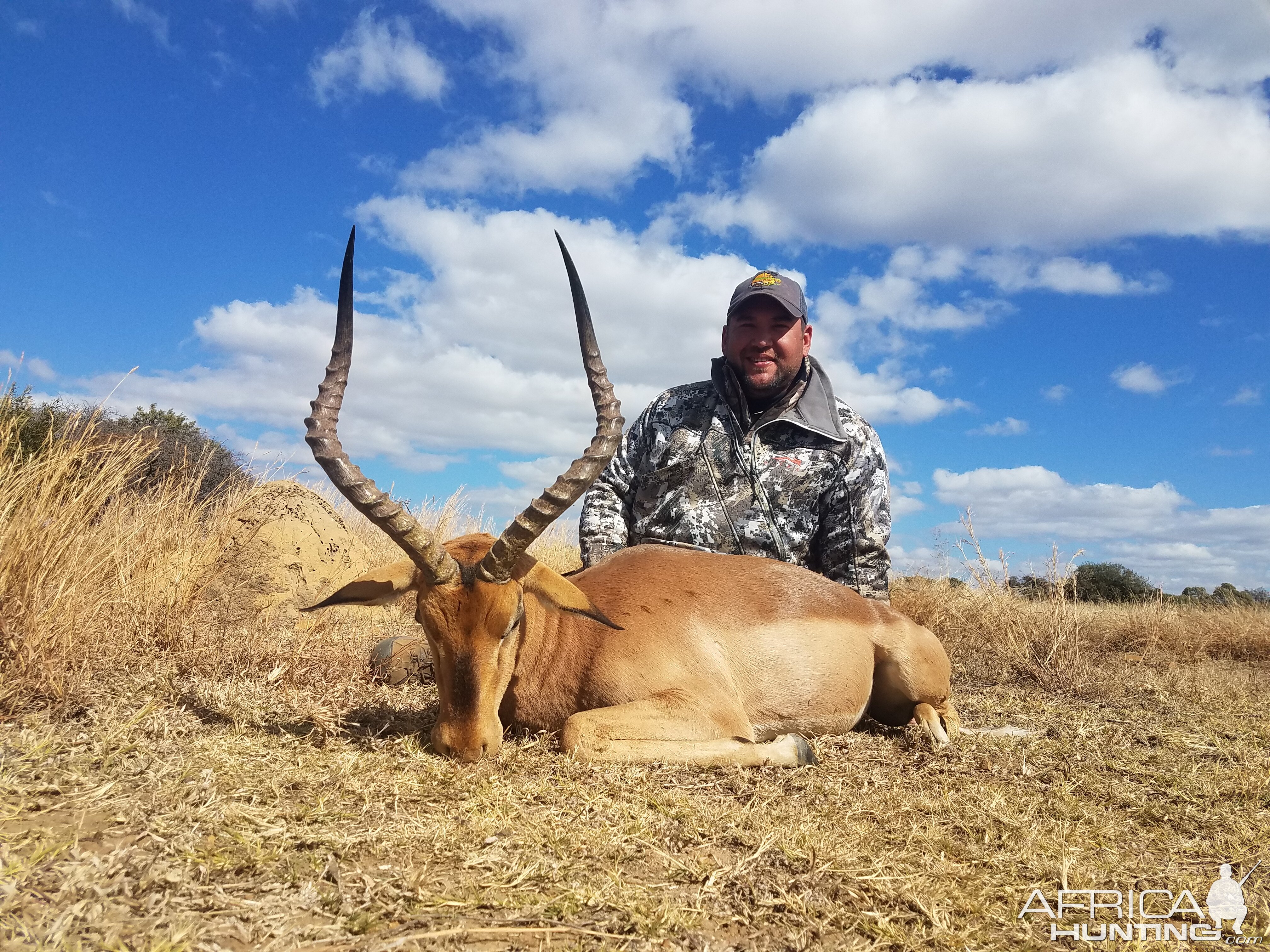 South Africa Hunt 22 1/8" Inch Impala