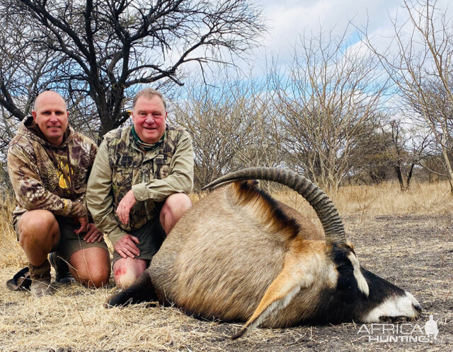 South Africa Hunt 28” Inch Roan