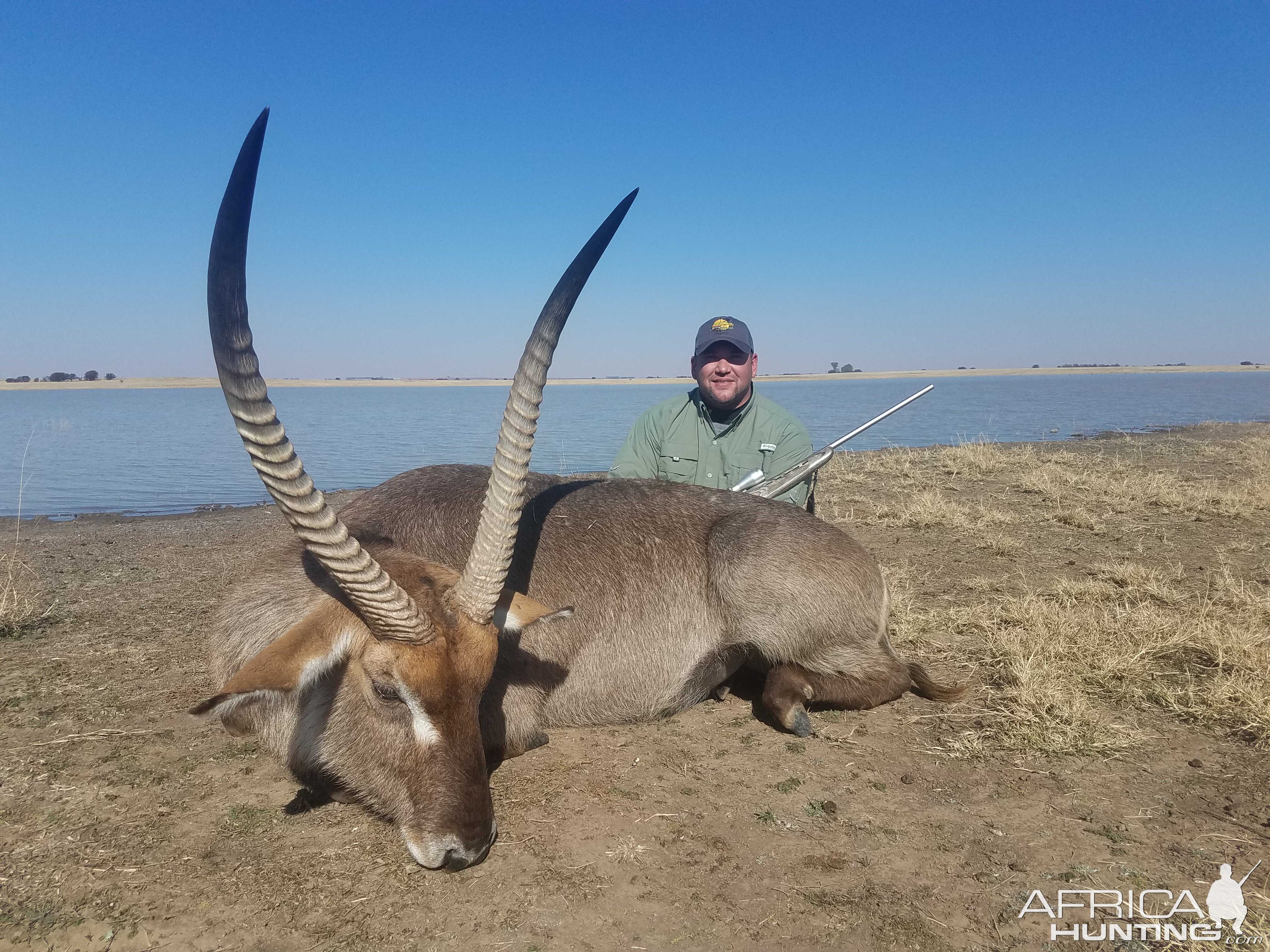 South Africa Hunt 29 5/8" Inch Waterbuck