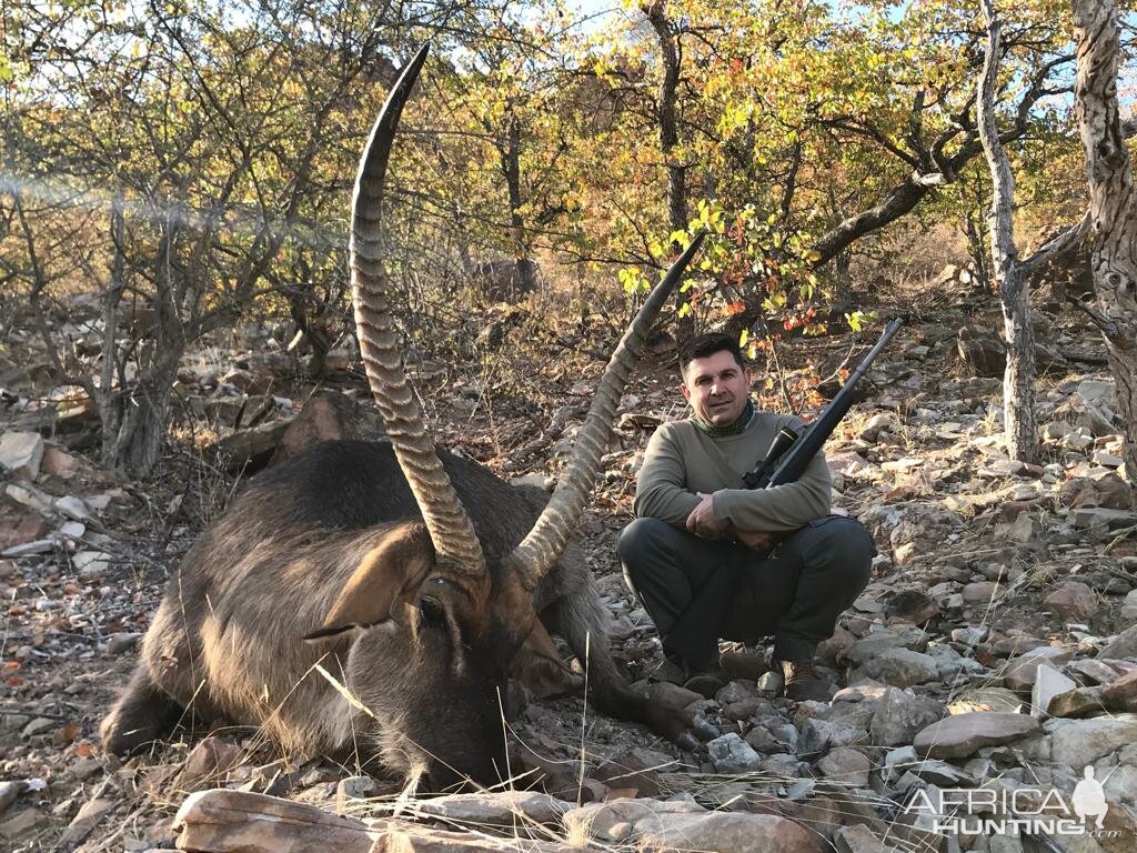 South Africa Hunt 32 5/8" Inch Waterbuck