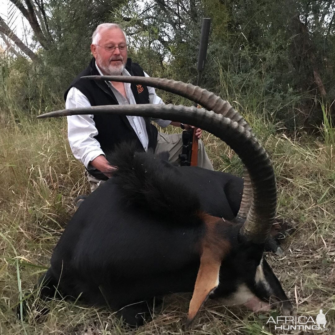 South Africa Hunt 43" Inch + Sable