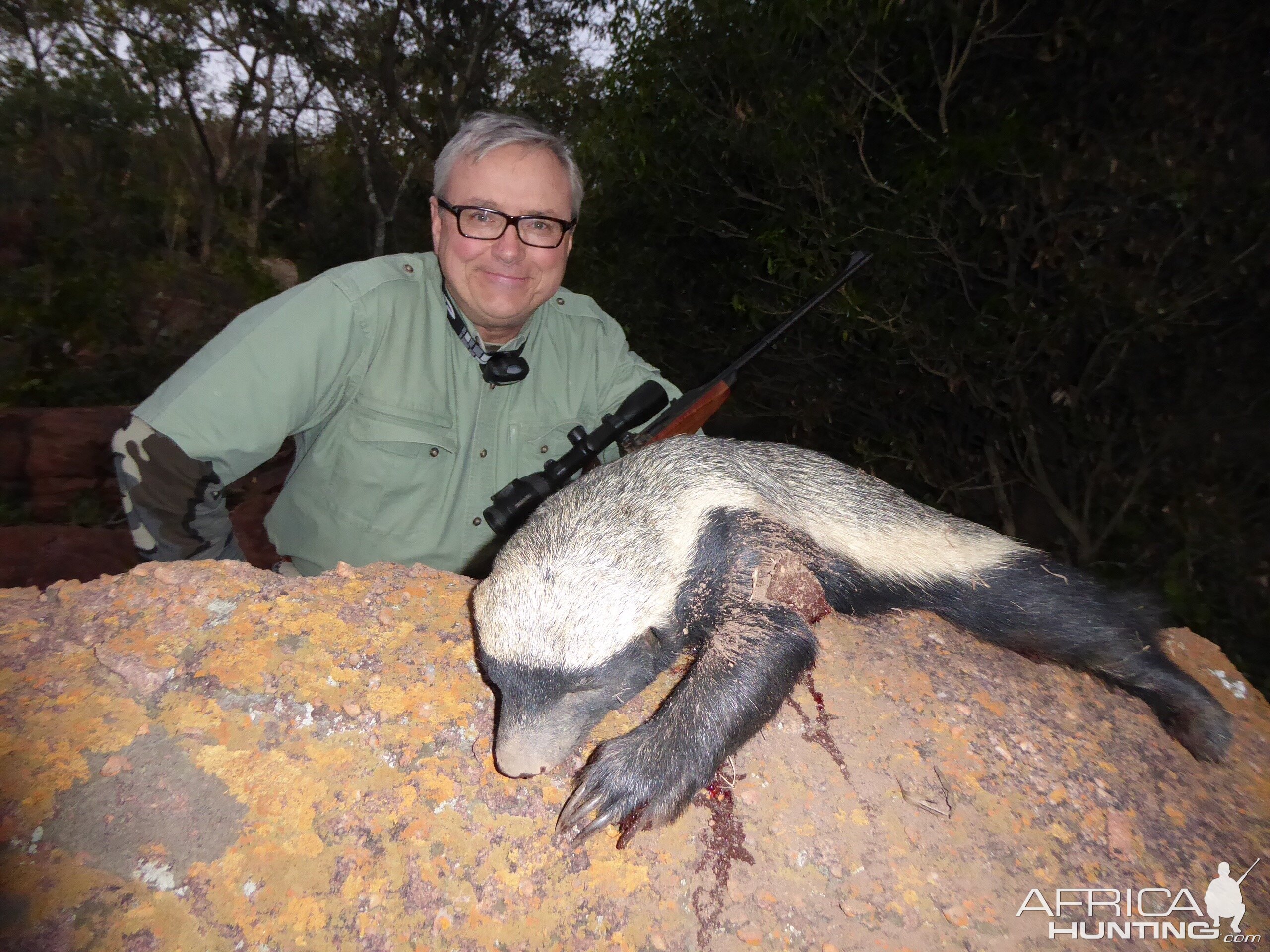 South Africa Hunt African Honey Badger