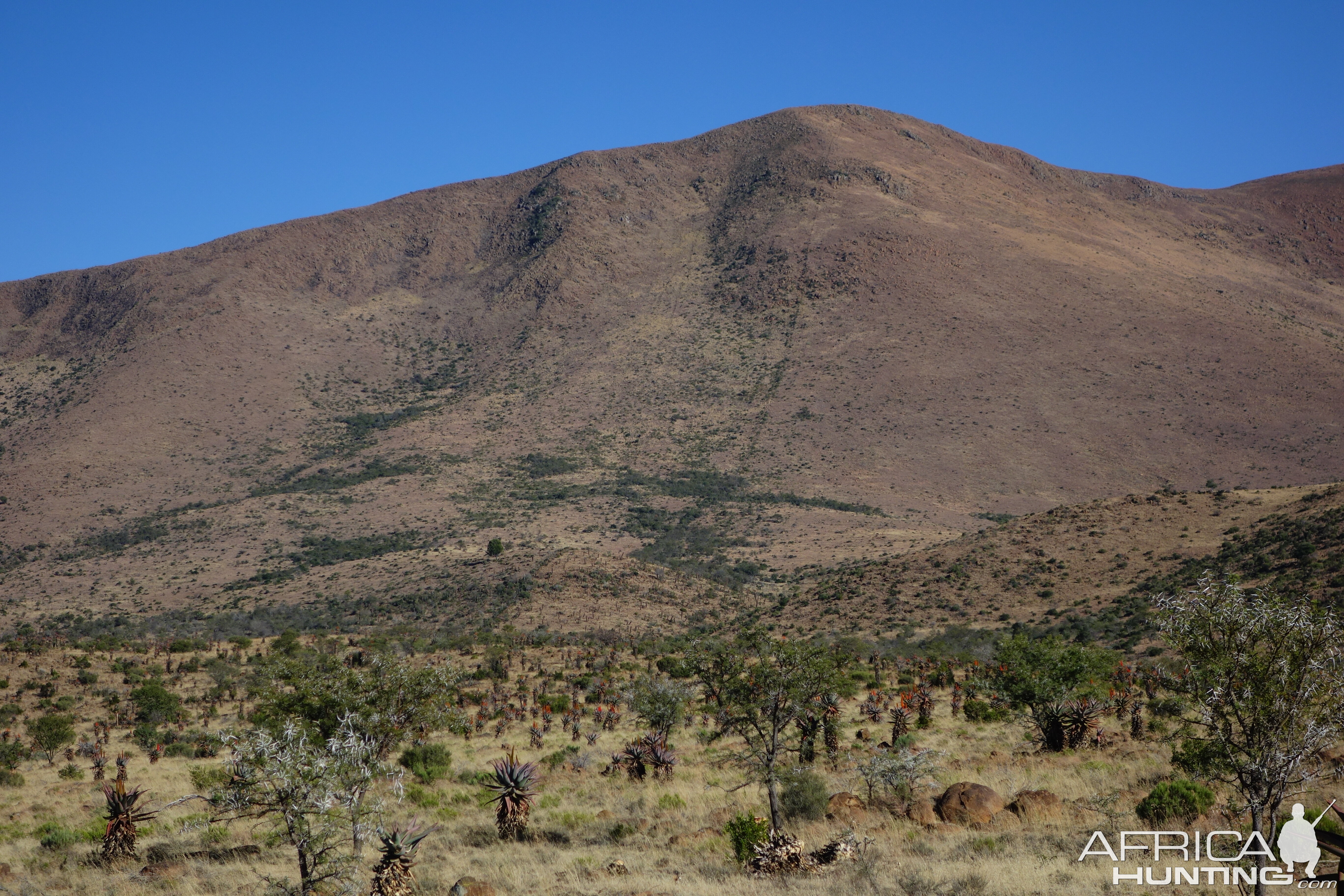 South Africa Hunt Area