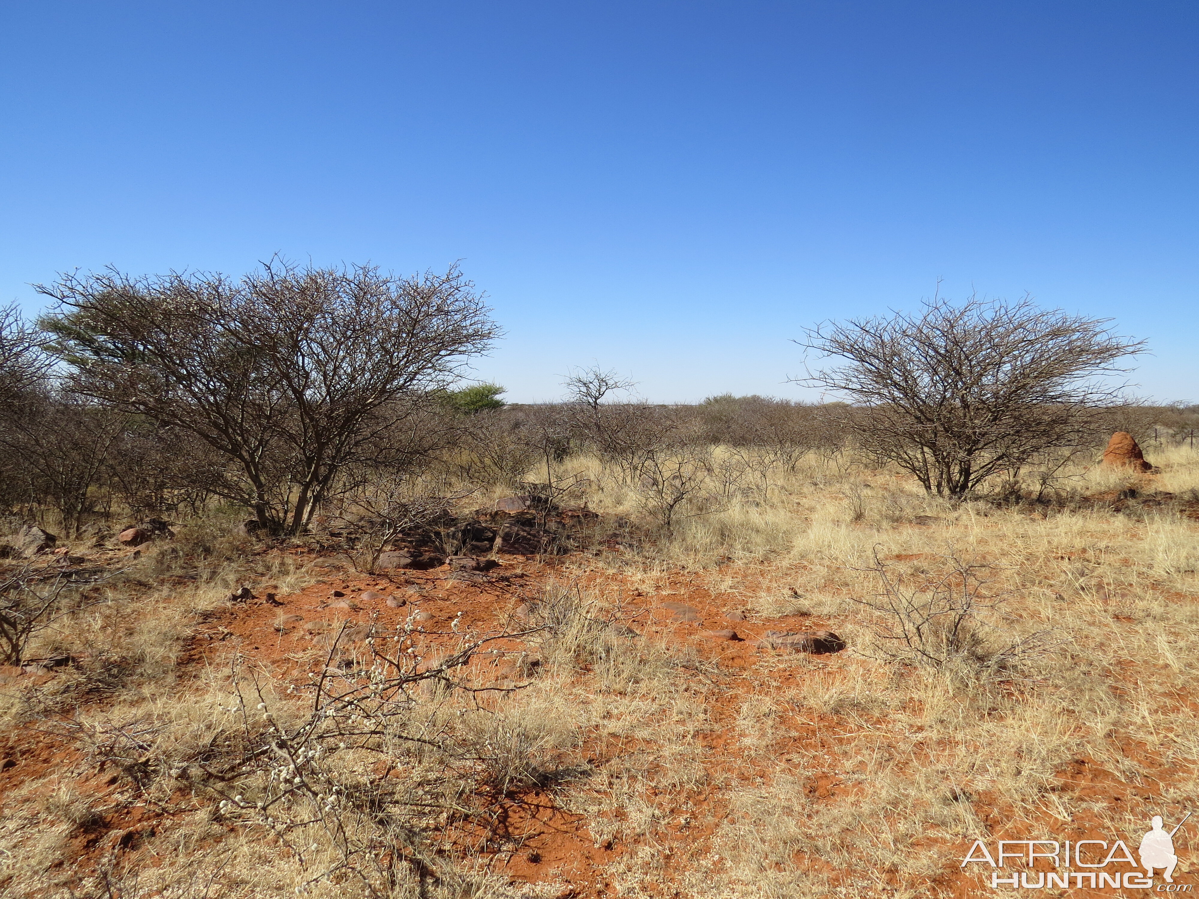 South Africa Hunt Area