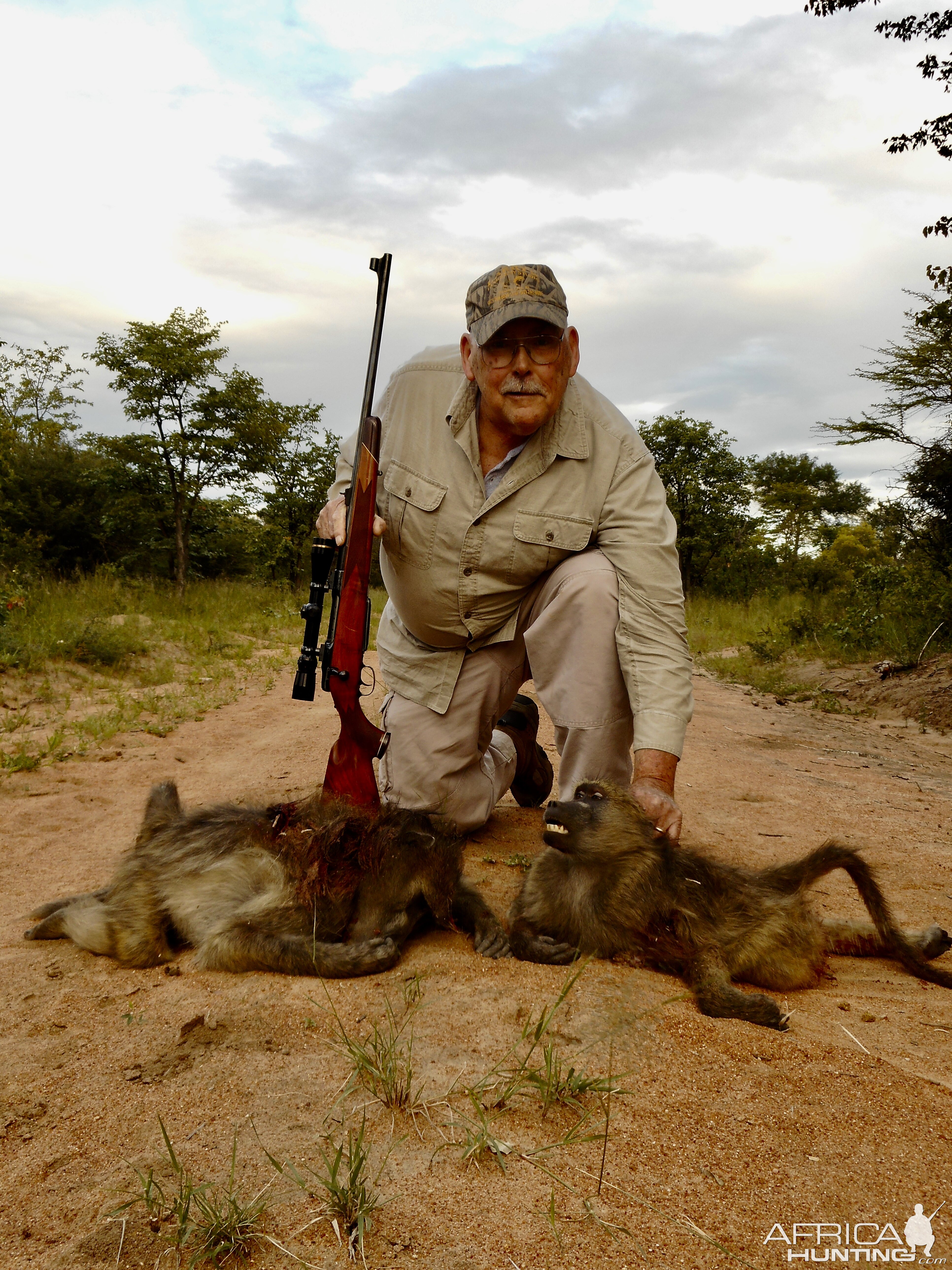 South Africa Hunt Baboon