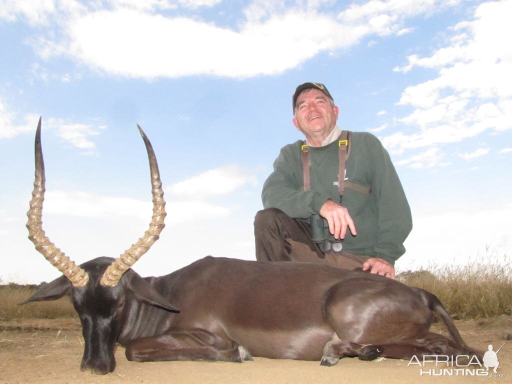 South Africa Hunt Black Impala