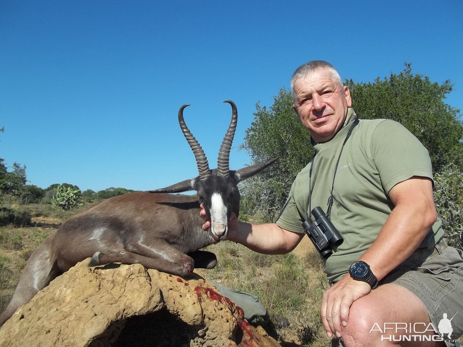 South Africa Hunt Black Springbok