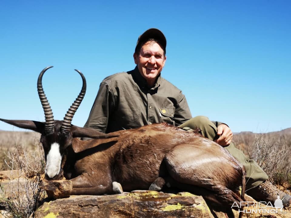 South Africa Hunt Black Springbok