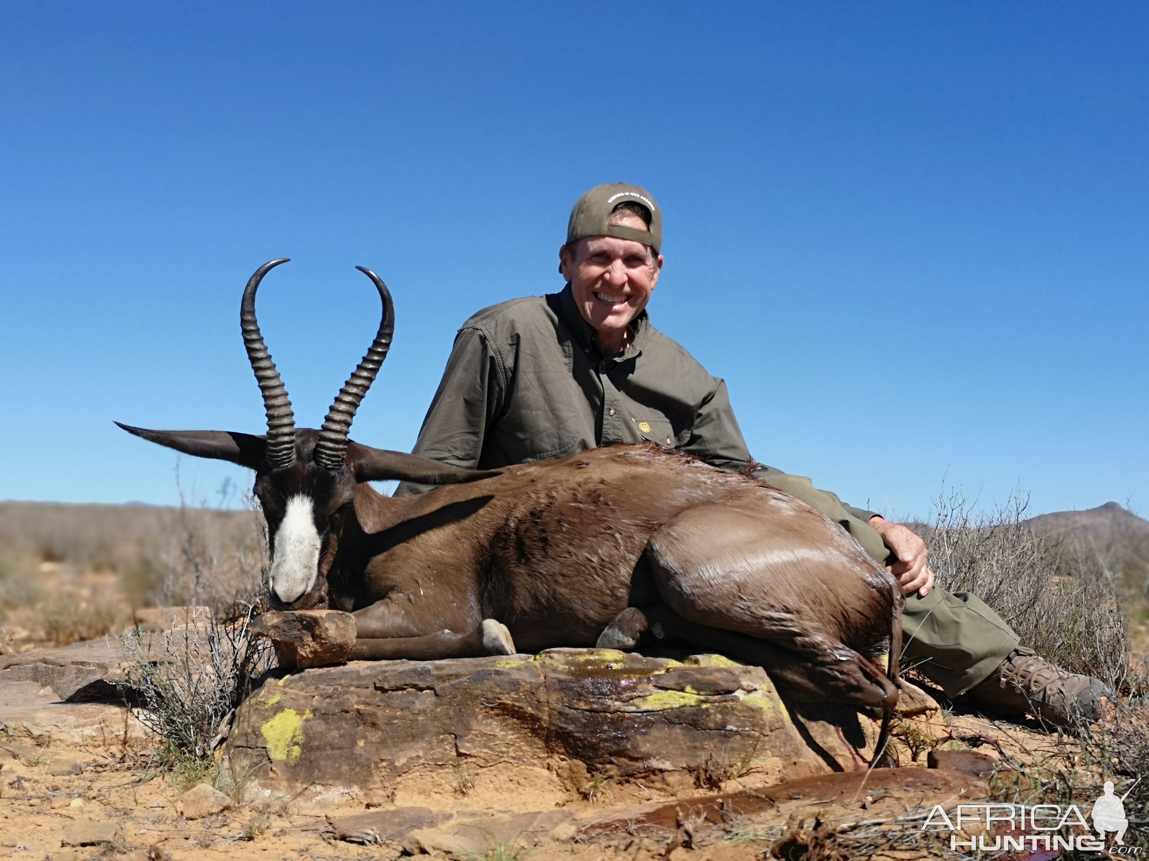 South Africa Hunt Black Springbok