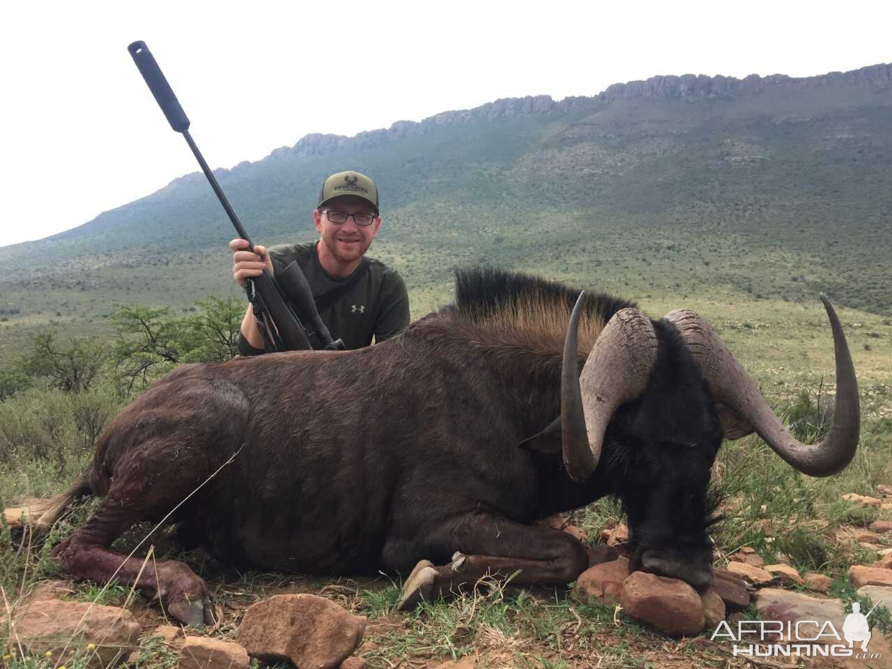 South Africa Hunt Black Wildebeest