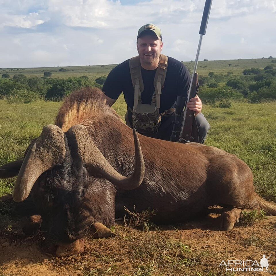 South Africa Hunt Black Wildebeest