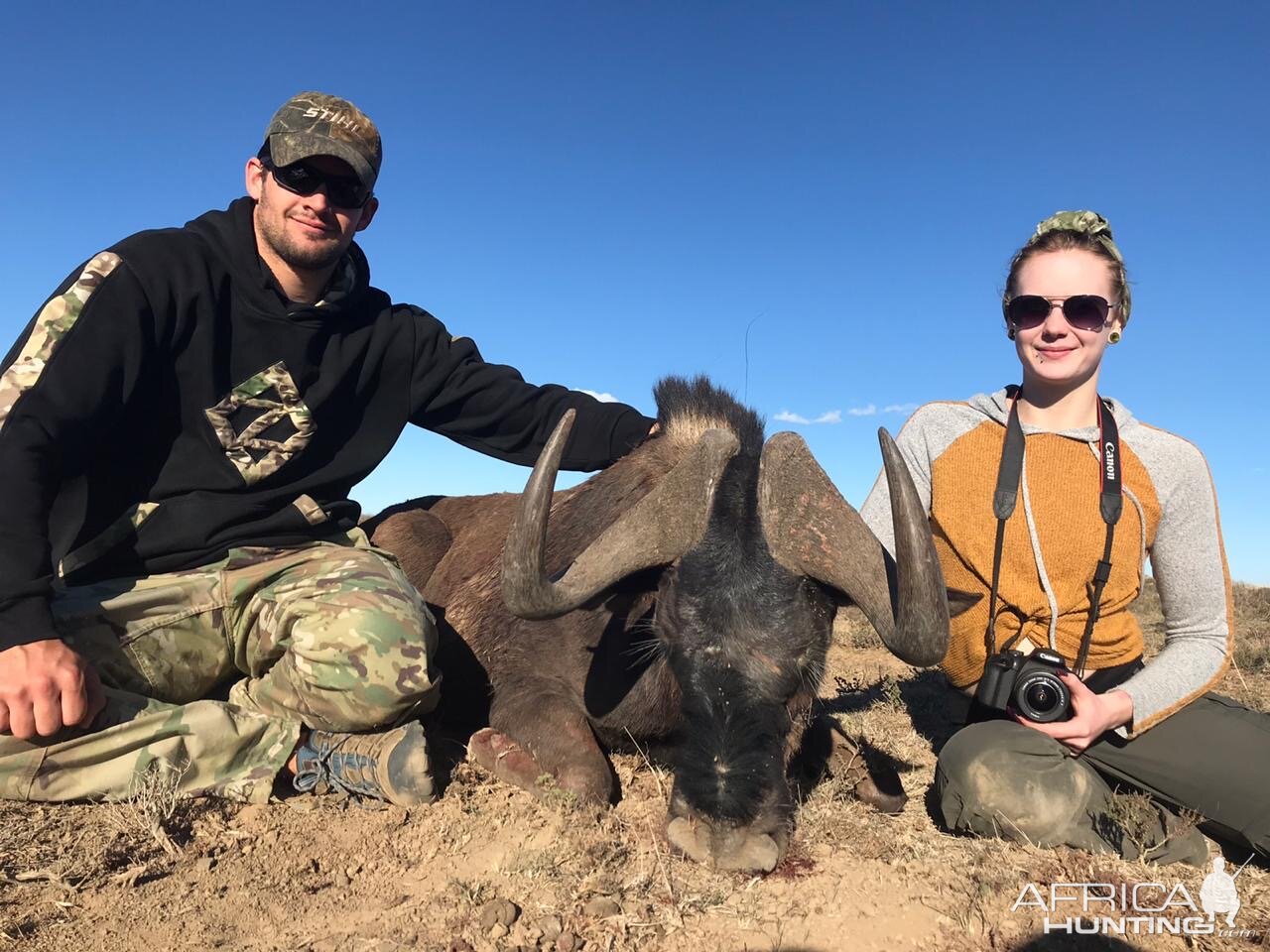 South Africa Hunt Black Wildebeest