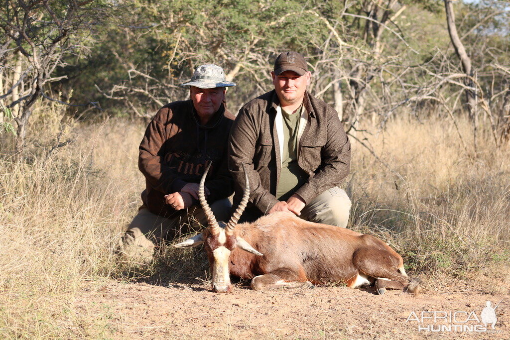 South Africa Hunt Blesbok