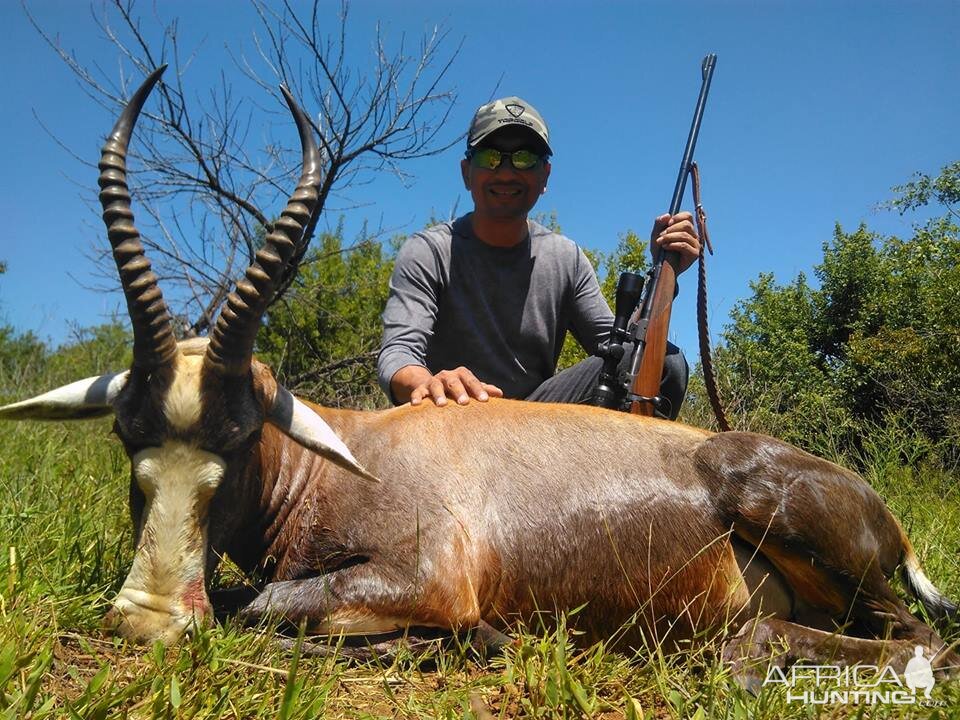 South Africa Hunt Blesbok