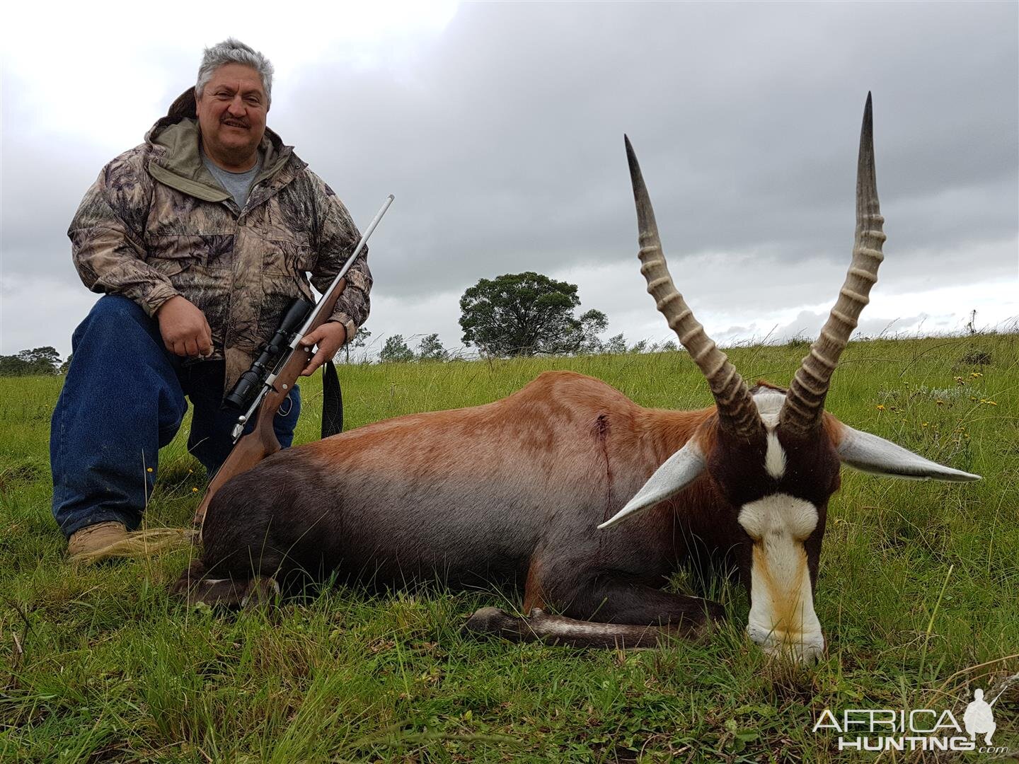 South Africa Hunt Blesbok