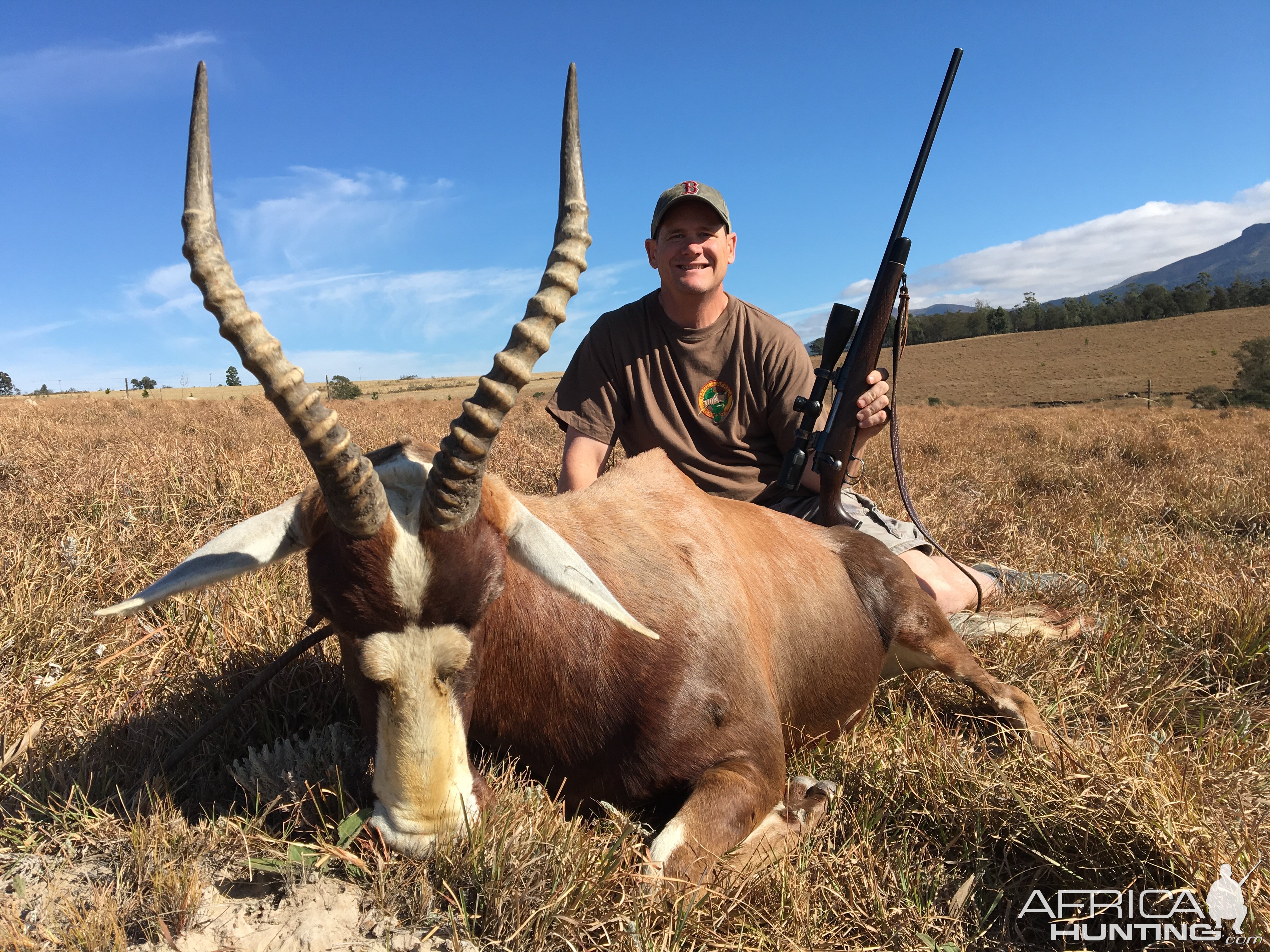 South Africa Hunt Blesbok