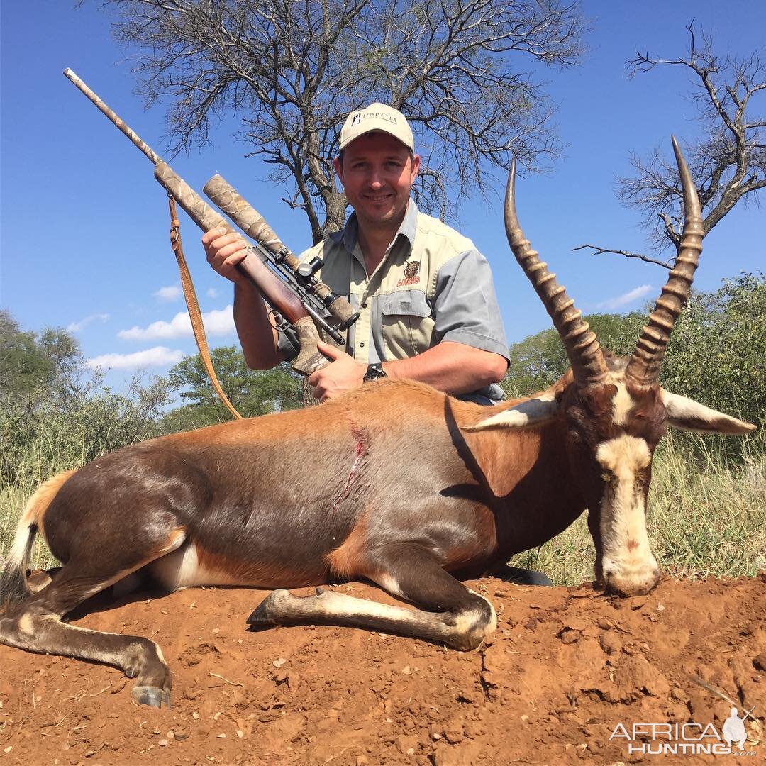 South Africa Hunt Blesbok